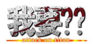 我要貓咪 (attack on titan)