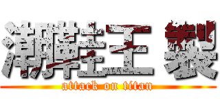 潮鞋王 製 (attack on titan)