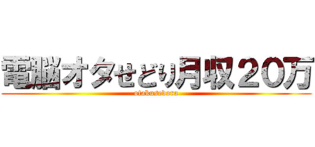 電脳オタせどり月収２０万 (otakusedora)