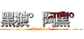 黑狼°阿黑° (Black wolf)