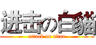进击の白貓 (attack on titan)