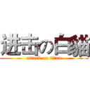 进击の白貓 (attack on titan)