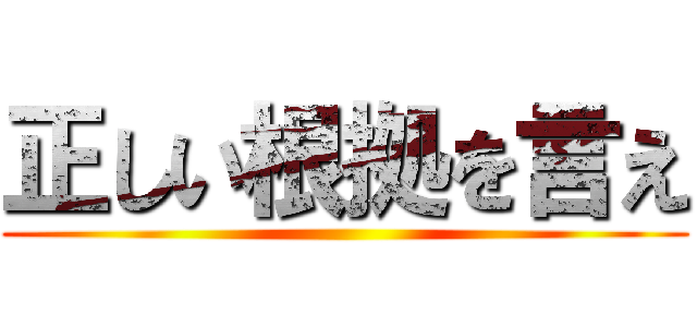 正しい根拠を言え ()