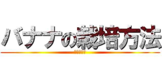 バナナの栽培方法 (（カオス）)
