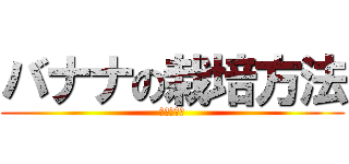 バナナの栽培方法 (（カオス）)