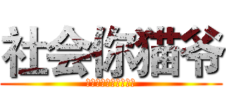 社会你猫爷 (看什么看没见过猫爷啊)