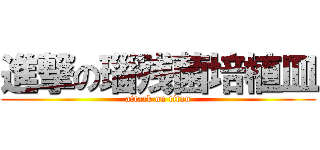進撃の瑙残菌培植皿 (attack on titan)