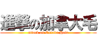 進撃の加拿大毛 (attack on Canada Hair)