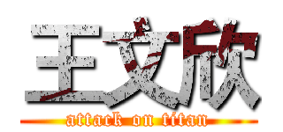王文欣 (attack on titan)