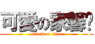 可愛の家馨♥ (attack on titan)