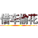 借车偷花 ()