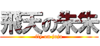 飛天の朱朱 (fly on juju)