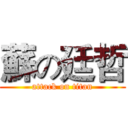 蘇の廷哲 (attack on titan)