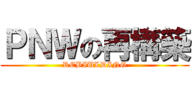 ＰＮＷの再構築 (REBIULDING)