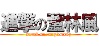 進撃の董林風 (attack on donglinfeng)