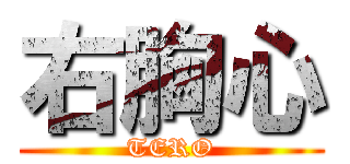 右胸心 (TERO)