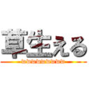 草生える (wwwwwwwww)