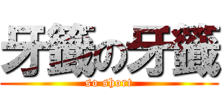 牙籤の牙籤 (so short)