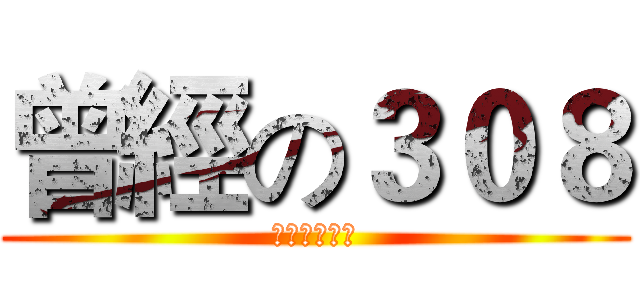 曾經の３０８ (那些天的故事)