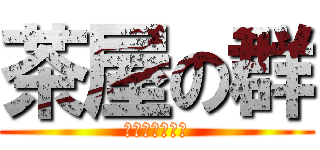 茶屋の群 (チャヤグループ)