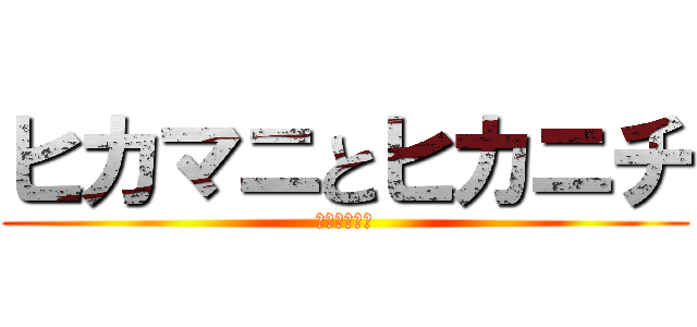 ヒカマニとヒカニチ (どう違うの？)