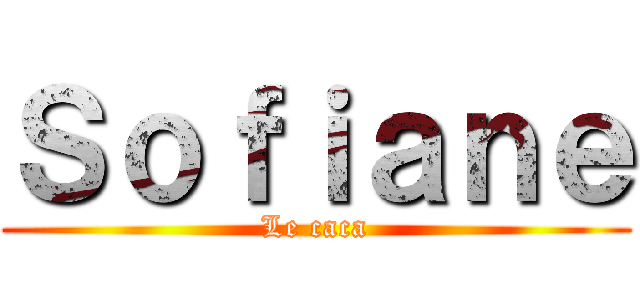 Ｓｏｆｉａｎｅ (Le caca)