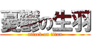 憂鬱の生羽 (attack on titan)