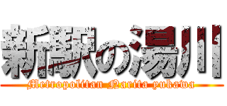 新駅の湯川 (Metropolitan Narita yukawa)