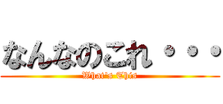 なんなのこれ・・・ (What\'s This)