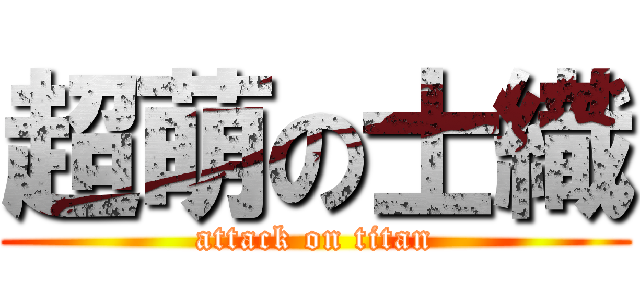 超萌の士織 (attack on titan)