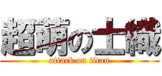 超萌の士織 (attack on titan)