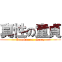 真性の童貞 (Genuine on cherry)