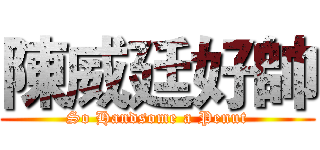陳威廷好帥 (So Handsome a Penut)