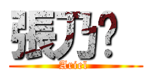 張乃勻  (Ariel )