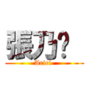 張乃勻  (Ariel )