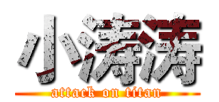 小涛涛 (attack on titan)