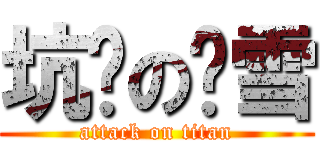 坑爹の离雪 (attack on titan)