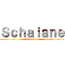 Ｓｃｈａｉａｎｅ (Eleutério)
