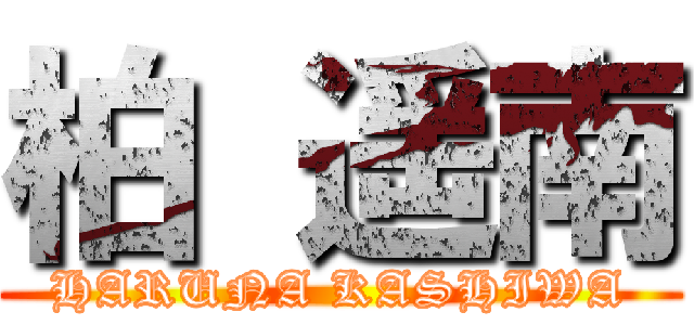 柏 遥南 (HARUNA KASHIWA)