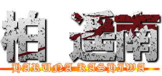 柏 遥南 (HARUNA KASHIWA)