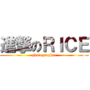 進撃のＲＩＣＥ (photographer)
