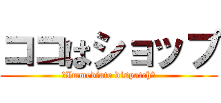 ココはショップ (～Immediate dispatch～)