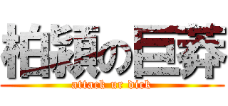 柏潁の巨莽 (attack ur dick)