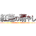 紅蓮の萌やし (attack on titan)