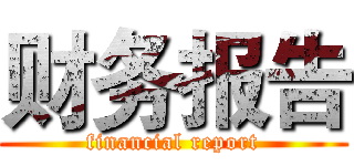 财务报告 (financial report)