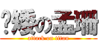 耍矮の孟珊 (attack on titan)