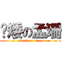 耍矮の孟珊 (attack on titan)