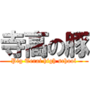 寺高の豚 (Pig Terai high school)