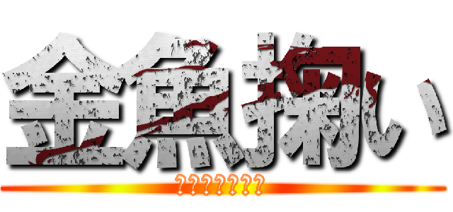 金魚掬い (きんぎょすくい)