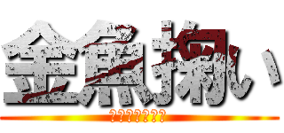 金魚掬い (きんぎょすくい)